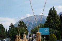 Schab bei Jubiläumsumzug, Foto: Nikologruppe Bad Mitterndorf