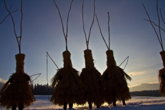 Schab, Foto: Johann Aster